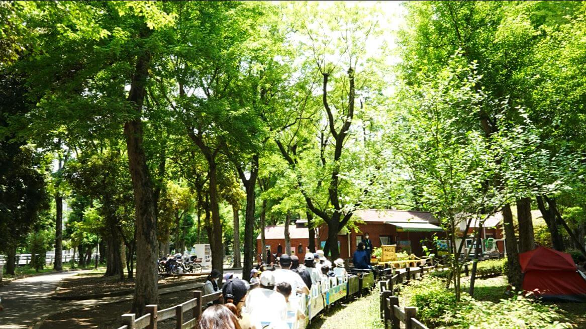 世田谷公園へ最寄駅からのアクセスやミニSL･フリマなどのイベントを紹介!